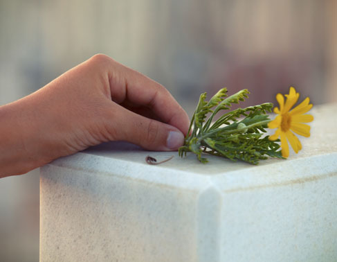 Urn with flowers